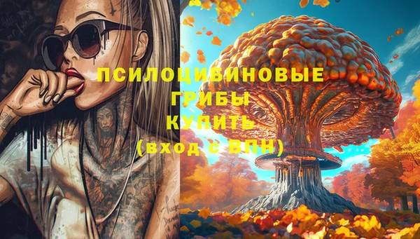 гидра Горно-Алтайск