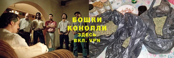 гидра Горно-Алтайск