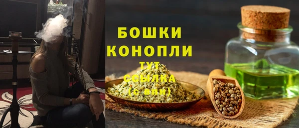 гидра Горно-Алтайск