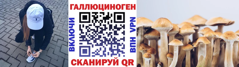 Галлюциногенные грибы Psilocybine cubensis  Ростов 